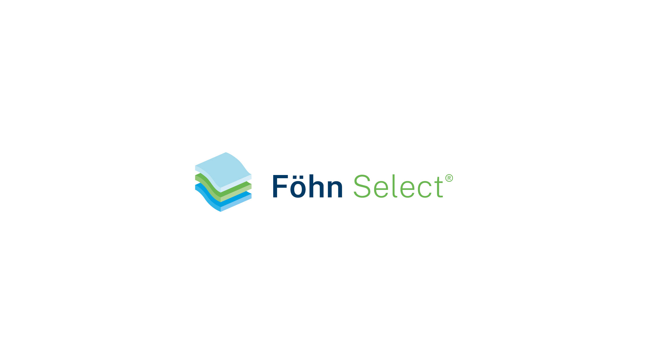 Föhn Select logo design