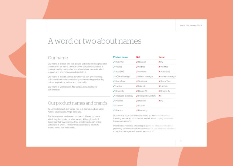 Guidelines on writing names, set against a soft orange background with white transparent shapes for decoration.