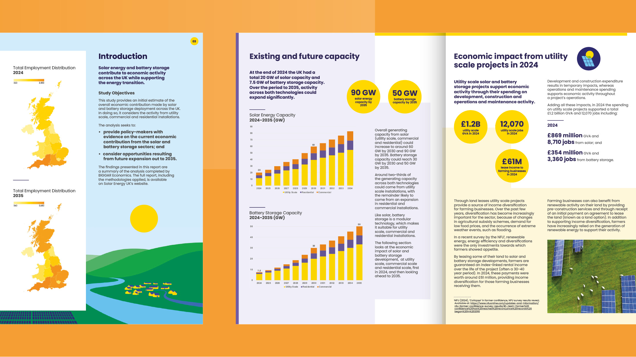 Report inner pages showing statistics and charts