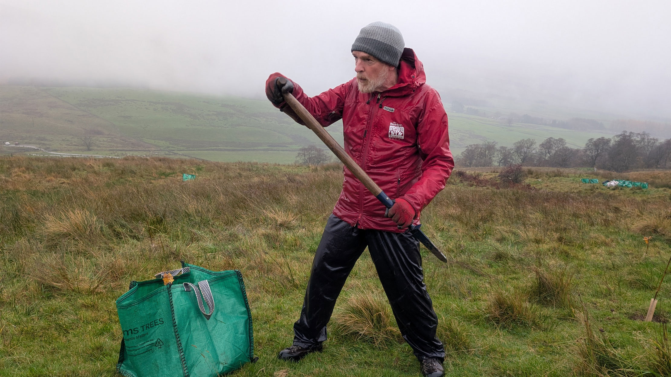 Tree planting: Top tips from the Borders Forest Trust